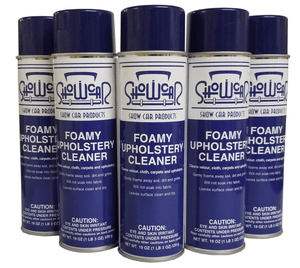 Goodbye Muddy Fall Mess: Cleaning Leaves and Dirt from Your Car’s Carpets